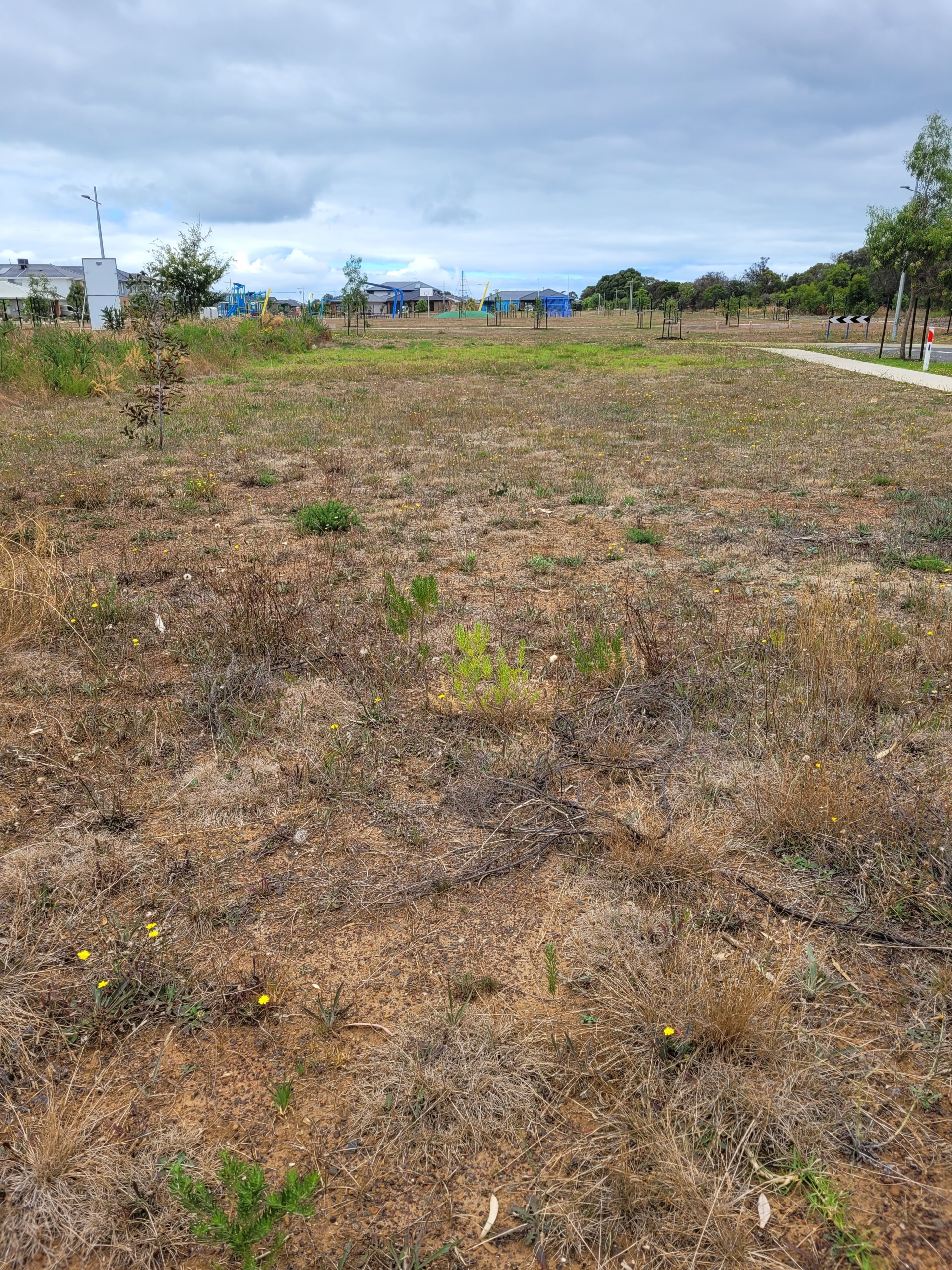 For Sale By Owner St Leonards VIC 3223 49 Kane Drive