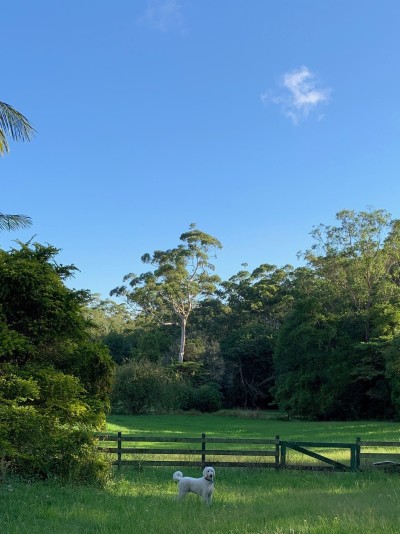 For Sale By Owner MALENY, QLD 4552