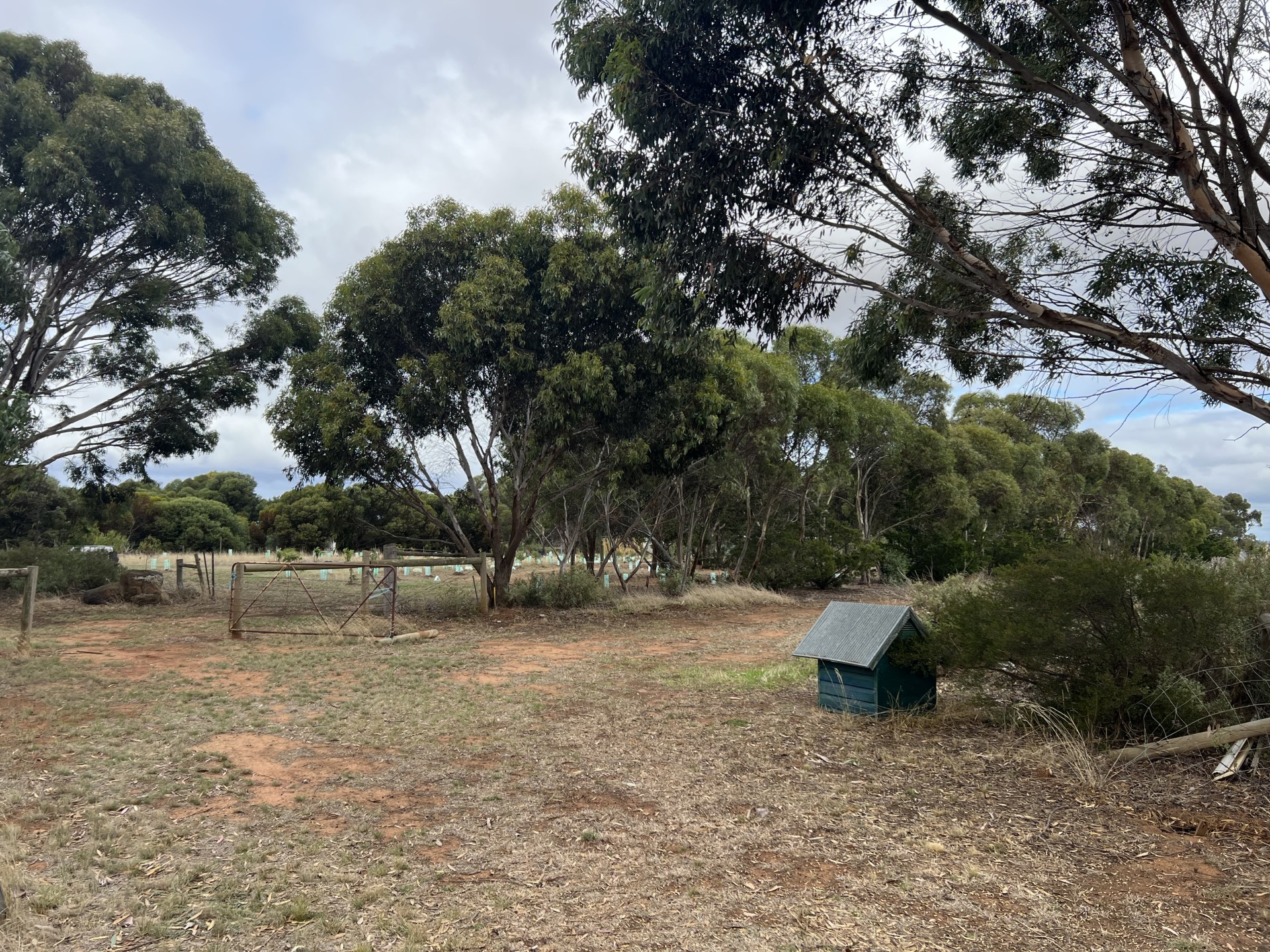 For Sale By Owner Mount Cottrell VIC 3024 1778 Dohertys Road