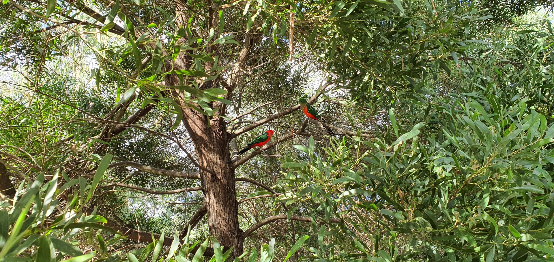 For Sale By Owner Pennyroyal VIC 3235 2/67 Pennyroyal Station Rd