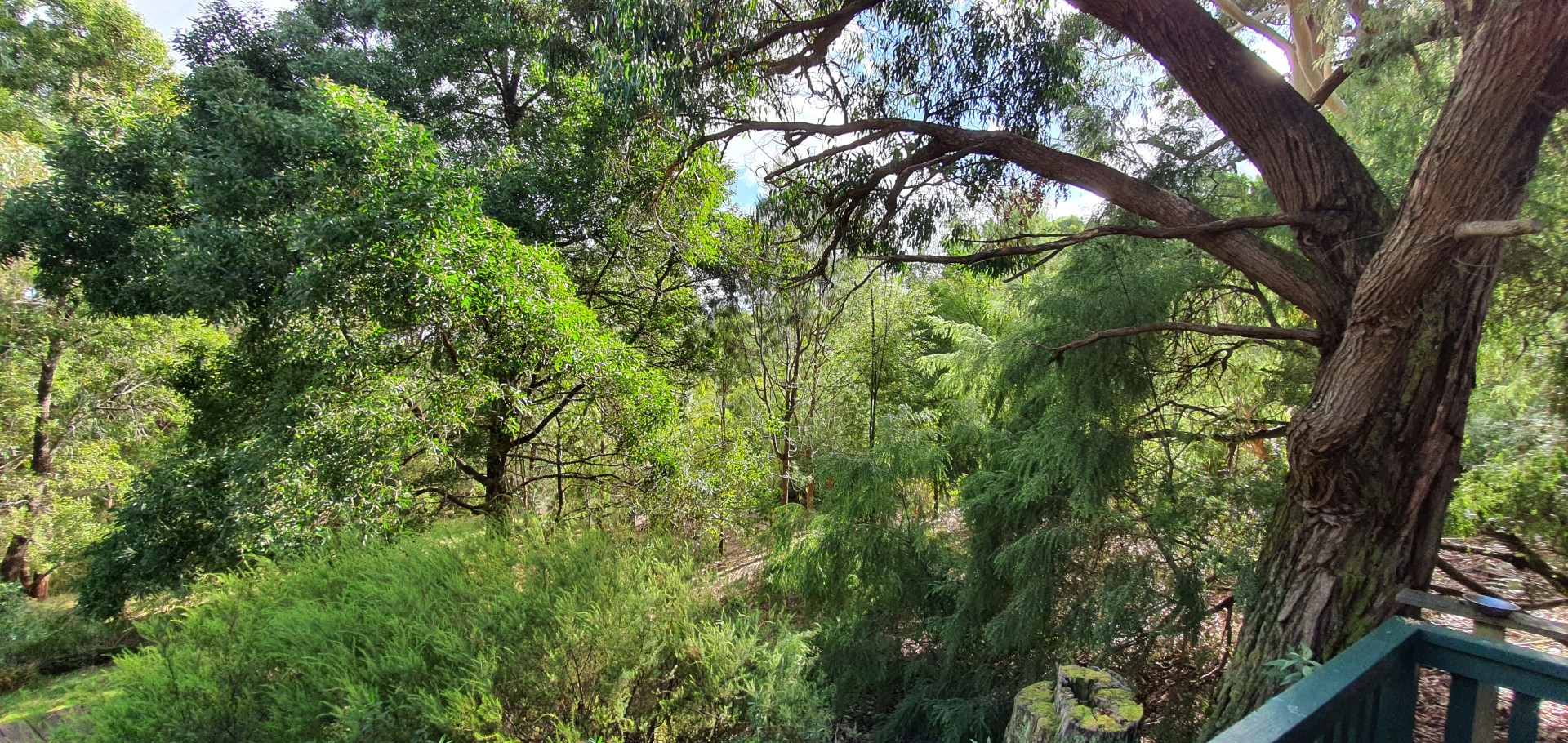 For Sale By Owner Pennyroyal VIC 3235 2/67 Pennyroyal Station Rd