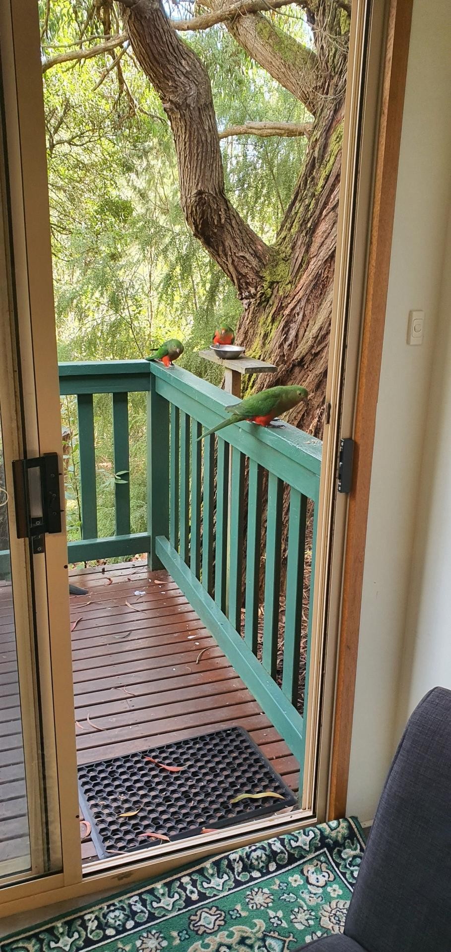 For Sale By Owner Pennyroyal VIC 3235 2/67 Pennyroyal Station Rd