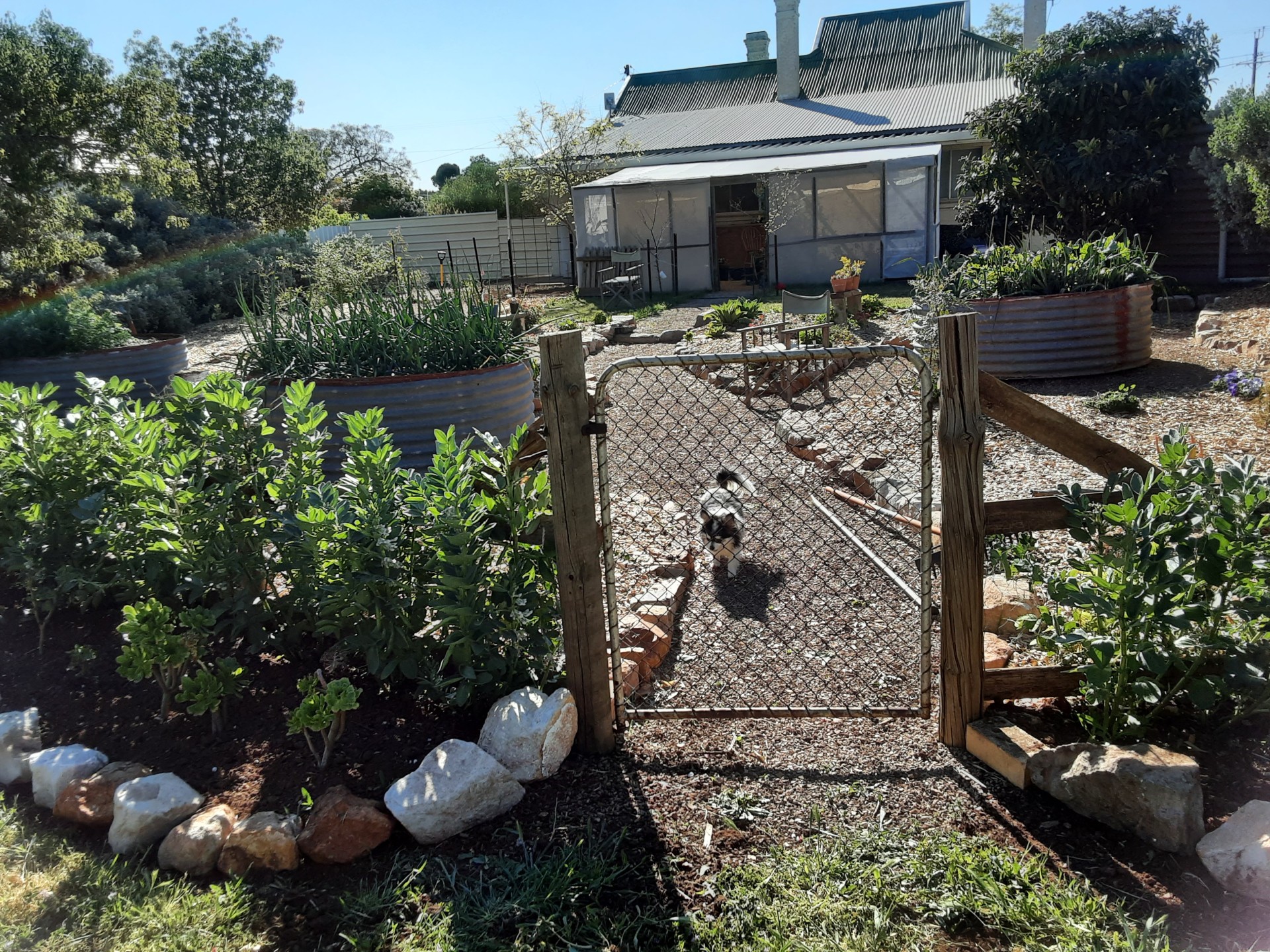 For Sale By Owner Booleroo Centre SA 5482 54 Stephens Street