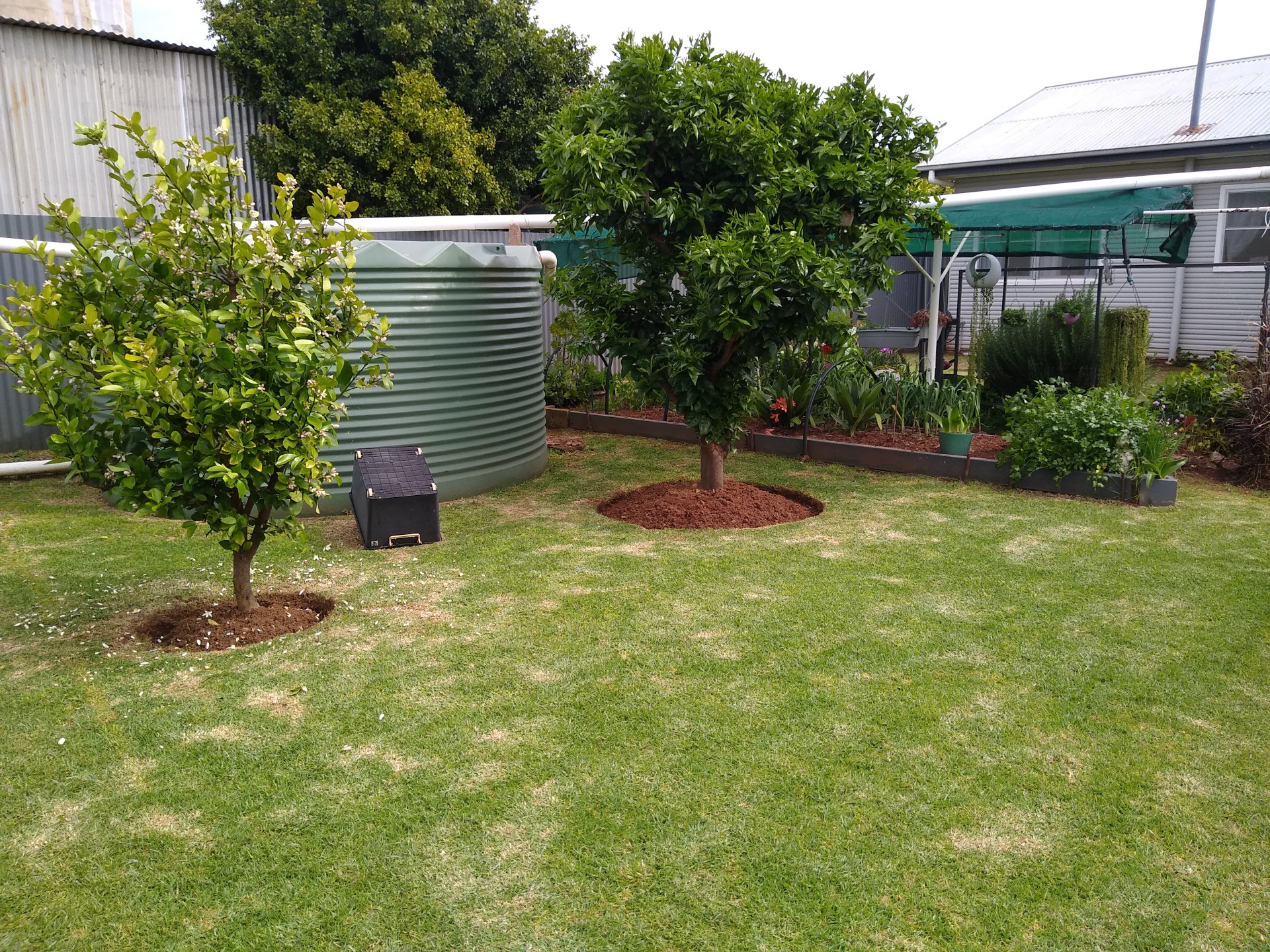 For Sale By Owner Tottenham NSW 2873 90 Moodana Street