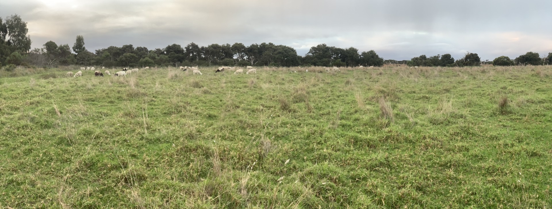 For Sale By Owner Myrup WA 6450 Lot 200 CoolgardieEsperance Hwy