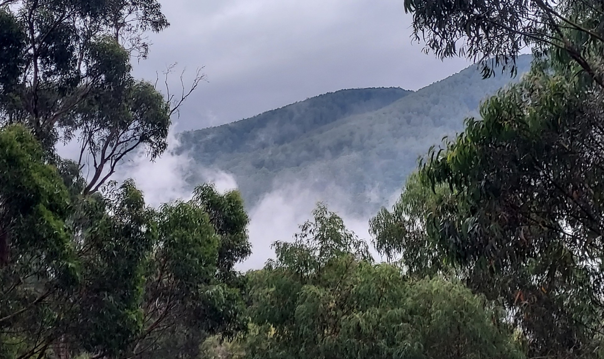 For Sale By Owner Warburton VIC 3799 12 Redcliffs Avenue