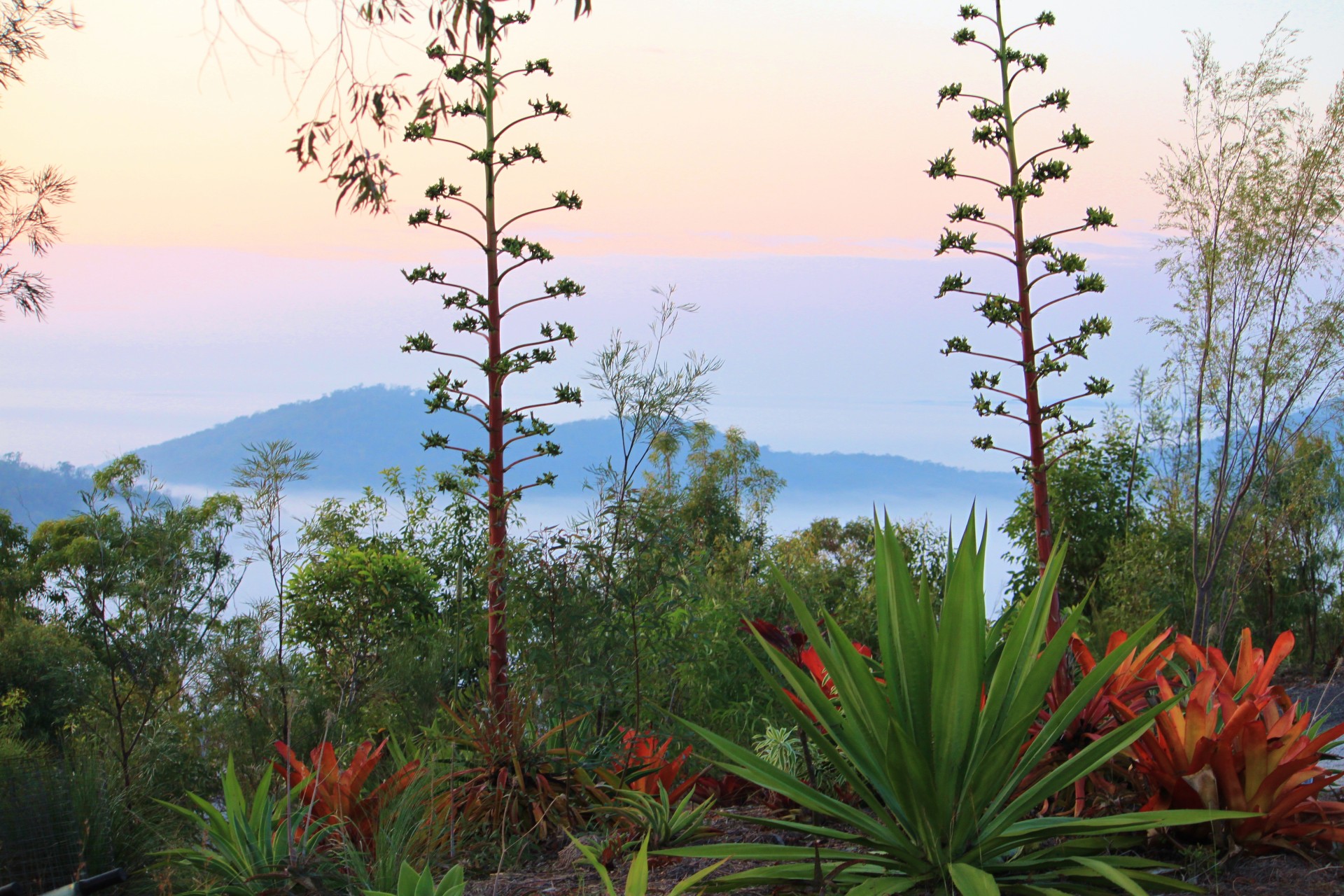 For Sale By Owner Agnes Water QLD 4677 19 Moffett Court