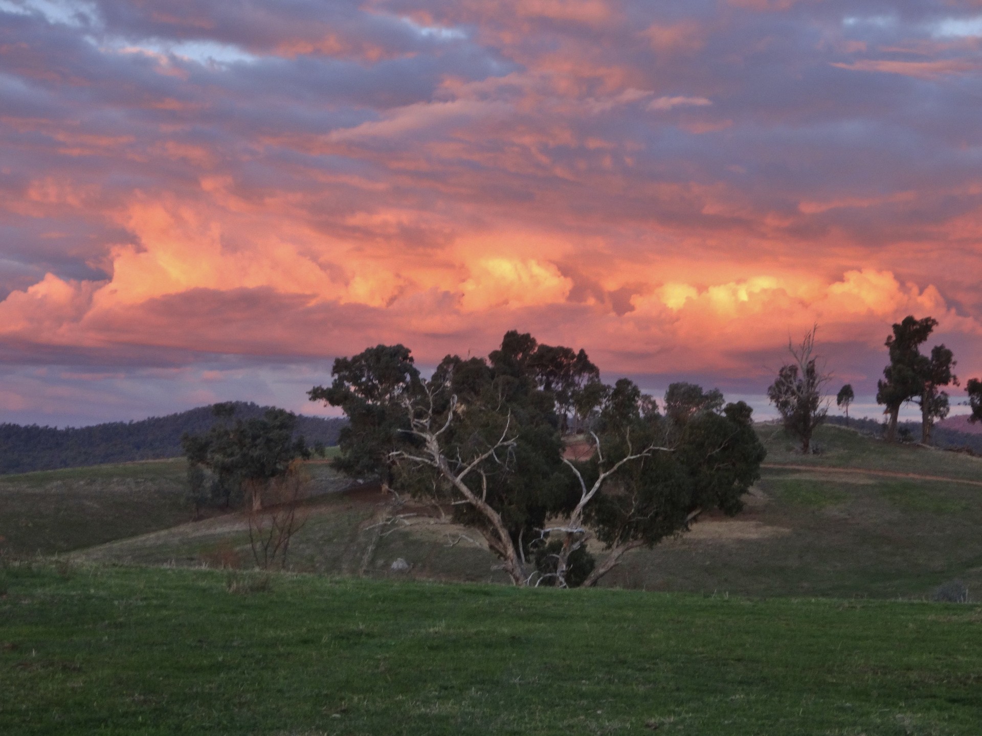 For Sale By Owner Moyhu VIC 3732 84 Kings Lane