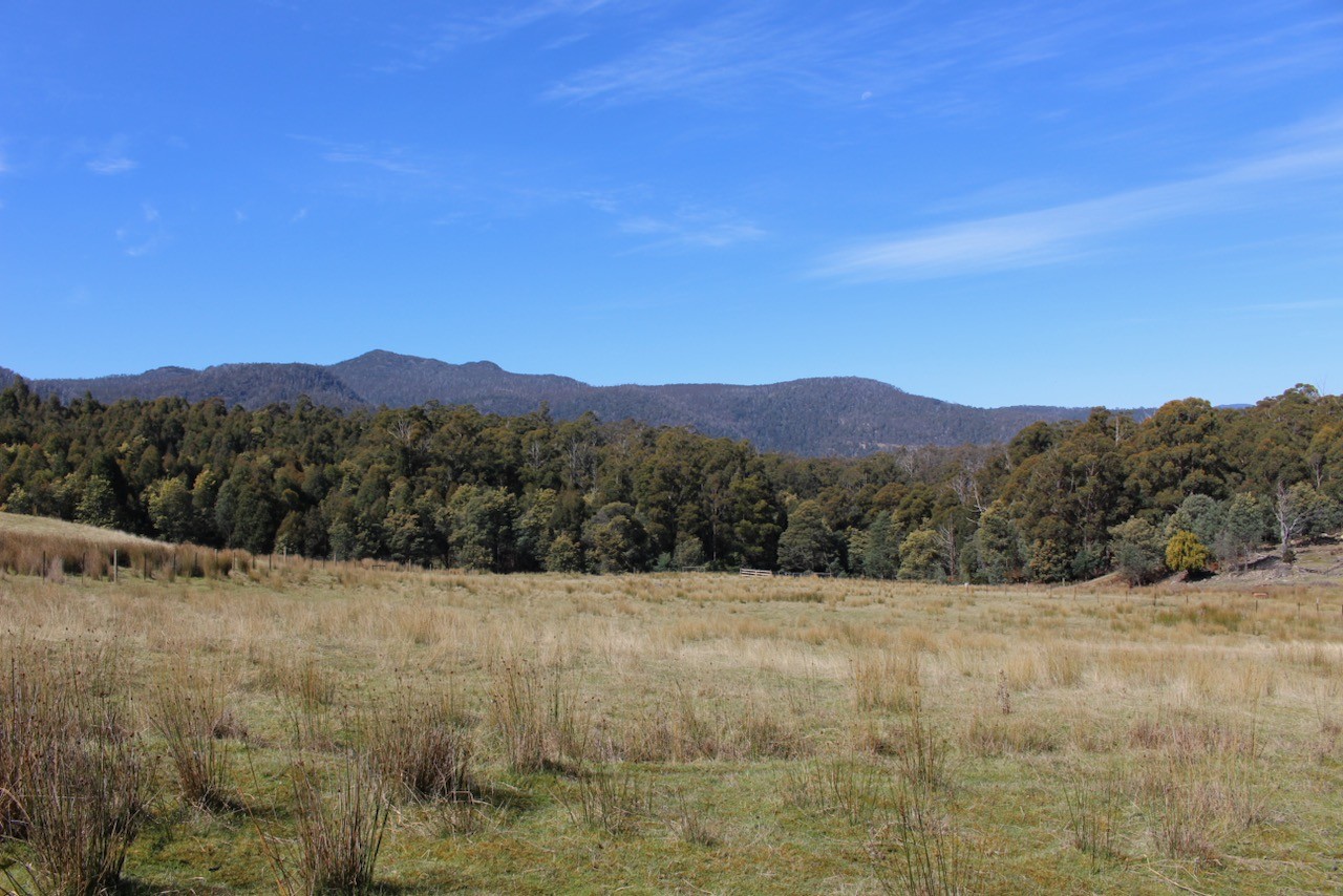 For Sale By Owner Black Hills TAS 7140 36 Grahams Road