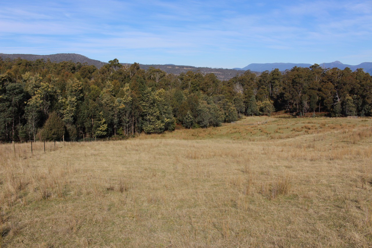 For Sale By Owner Black Hills TAS 7140 36 Grahams Road