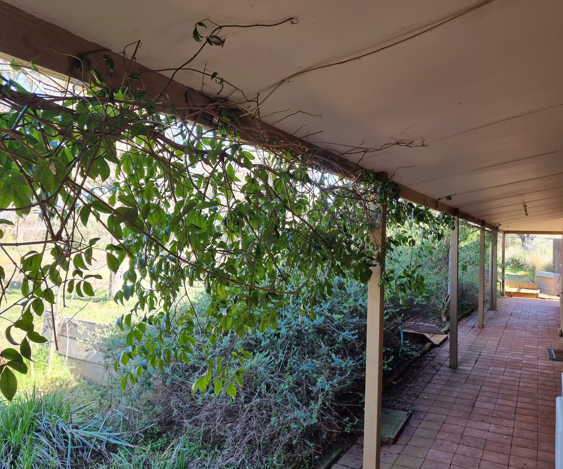 Private Rental 100 Ryans Road, Dookie, VIC 3646