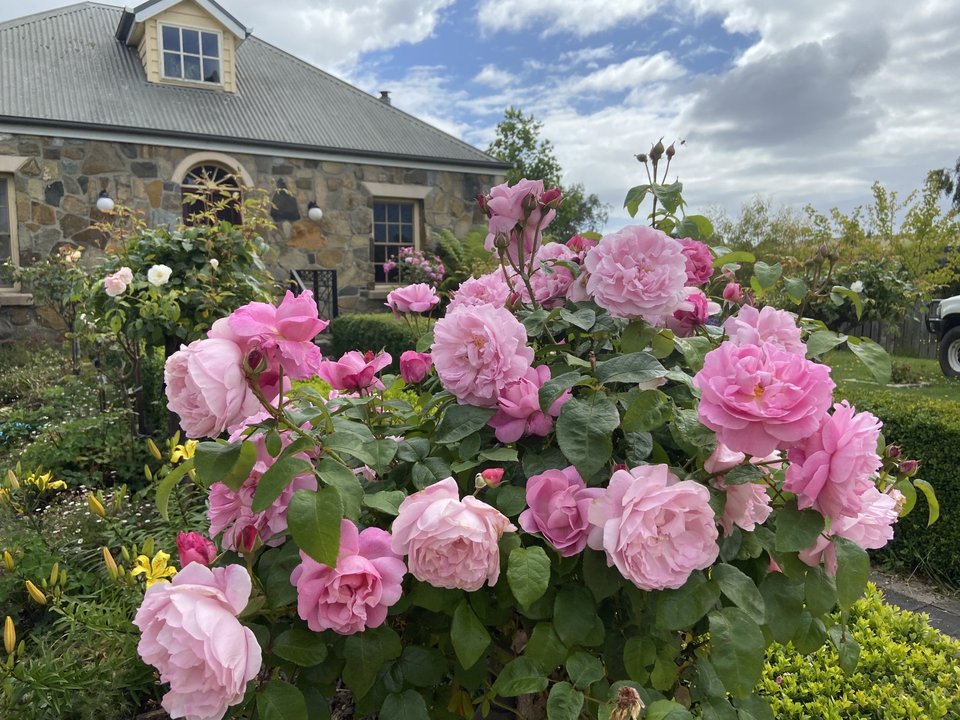 For Sale By Owner St Helens TAS 7216