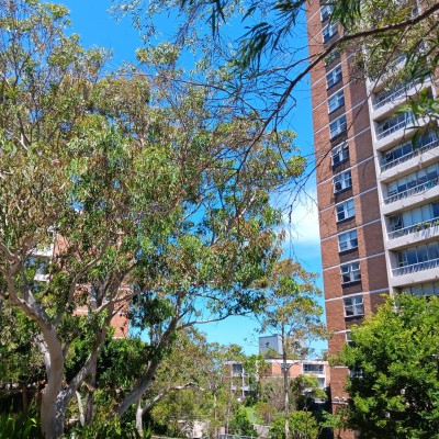 For Sale By Owner RANDWICK, NSW 2031