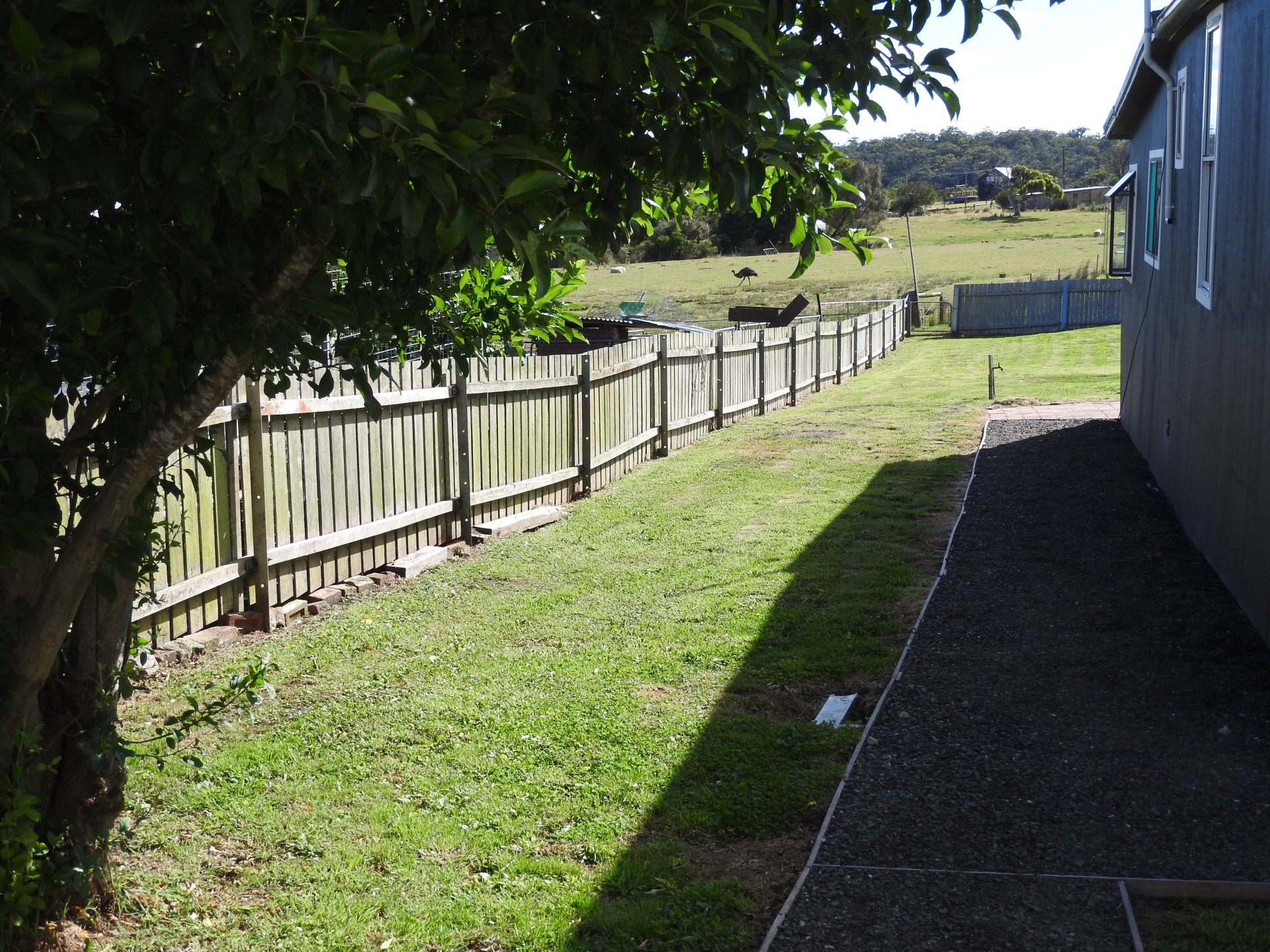 For Sale By Owner Gladstone TAS 7264 20 Chaffey Street