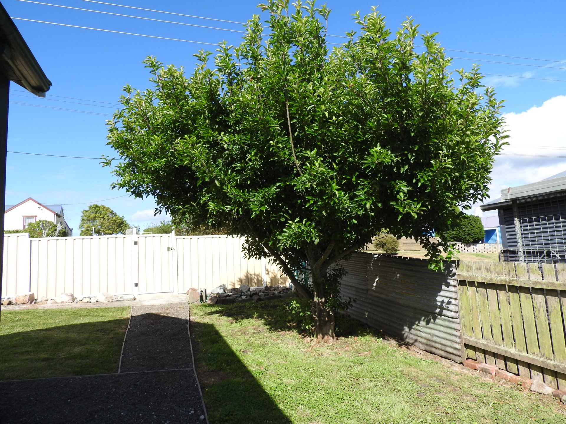 For Sale By Owner Gladstone TAS 7264 20 Chaffey Street