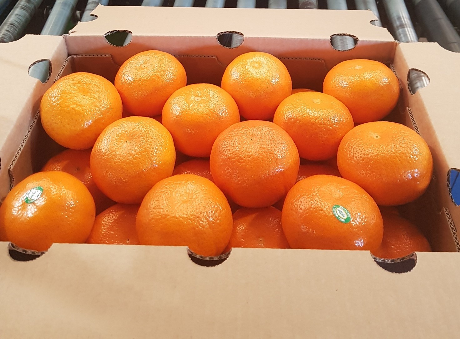 For Sale By Owner Mundubbera QLD 4626 90 McIndoes Road