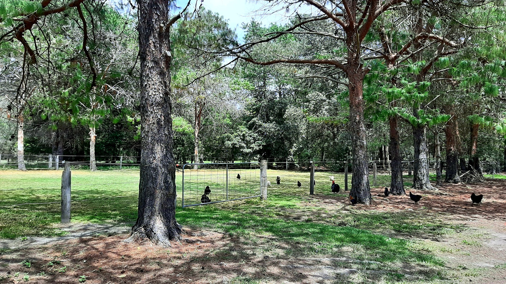 For Sale By Owner Sussex Inlet NSW 2540 435a Sussex Inlet Road