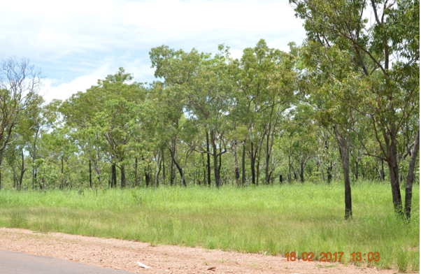 Property For Sale By Owner In The Northern Territory ADELAIDE RIVER, NT 0846