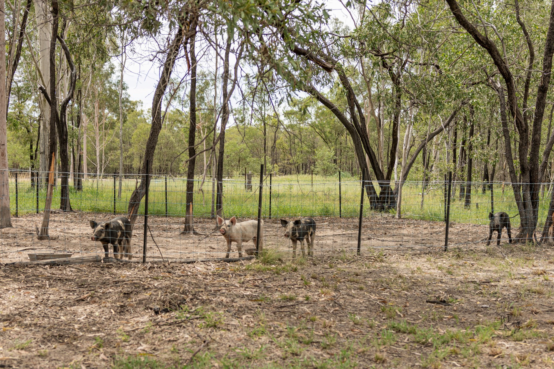 For Sale By Owner Duaringa QLD 4712