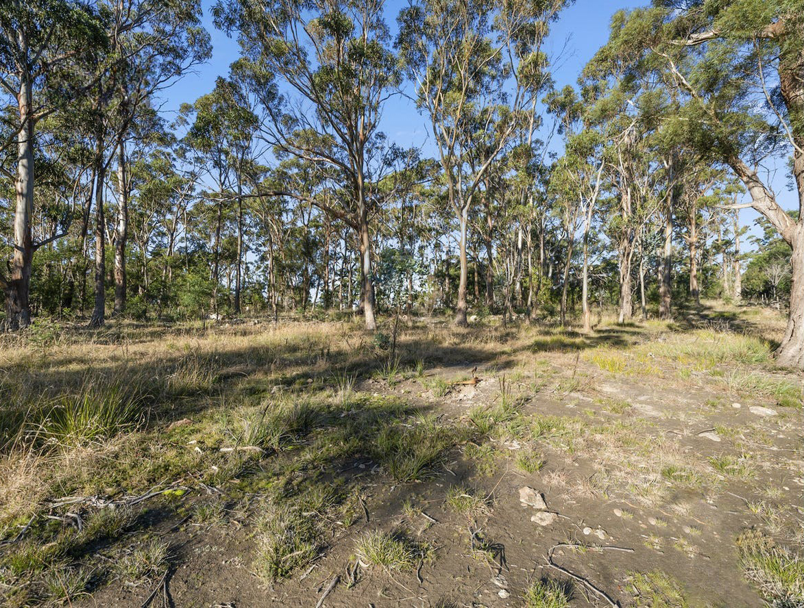 For Sale By Owner Pontypool TAS 7190 38 Medora Street