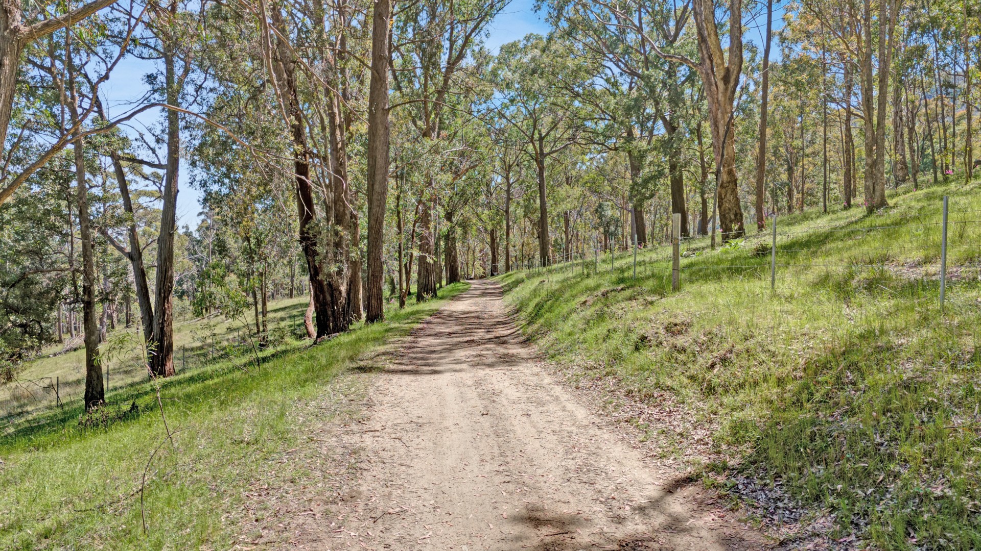 Horse Property For Sale in Duncans Creek, NSW 2340