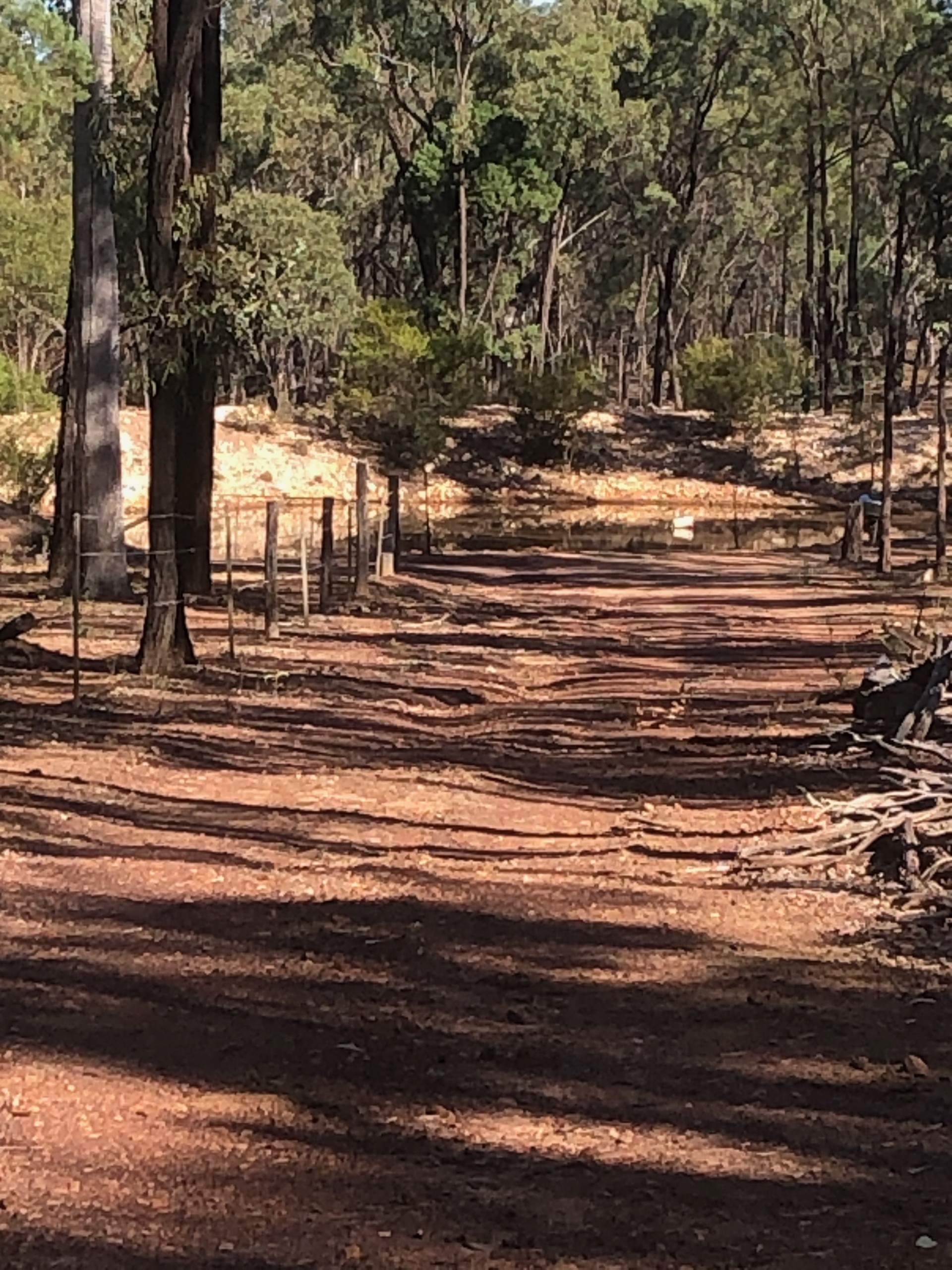 For Sale By Owner Condamine Farms QLD 4357