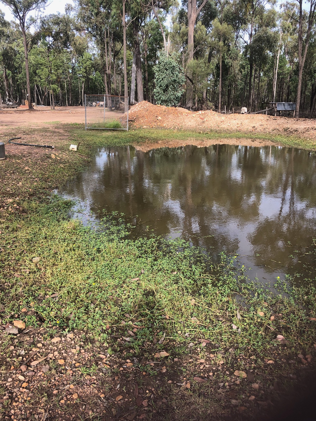 For Sale By Owner Condamine Farms QLD 4357