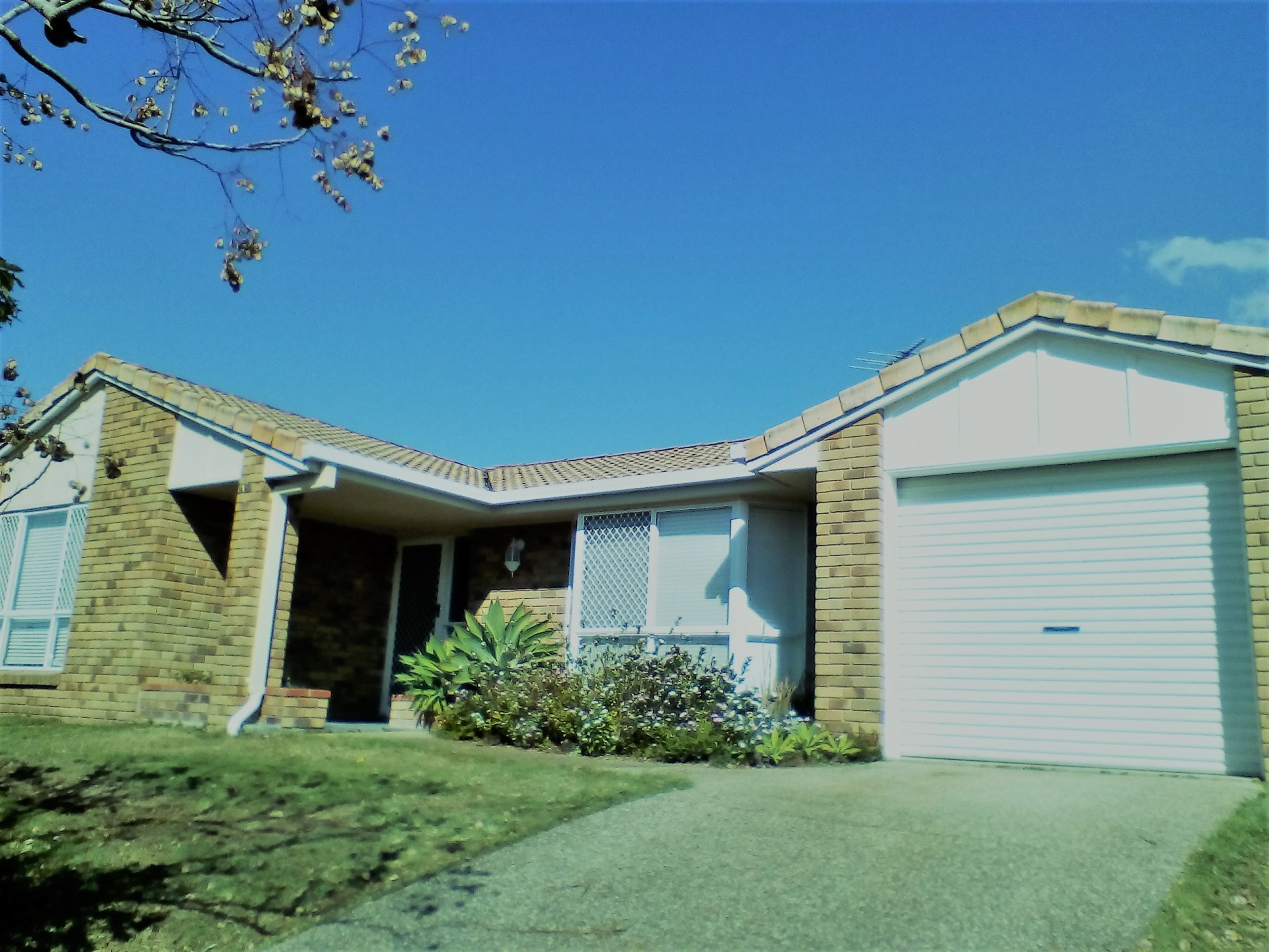 Private Rental 102 Kilsay Crescent, Meadowbrook, QLD 4131