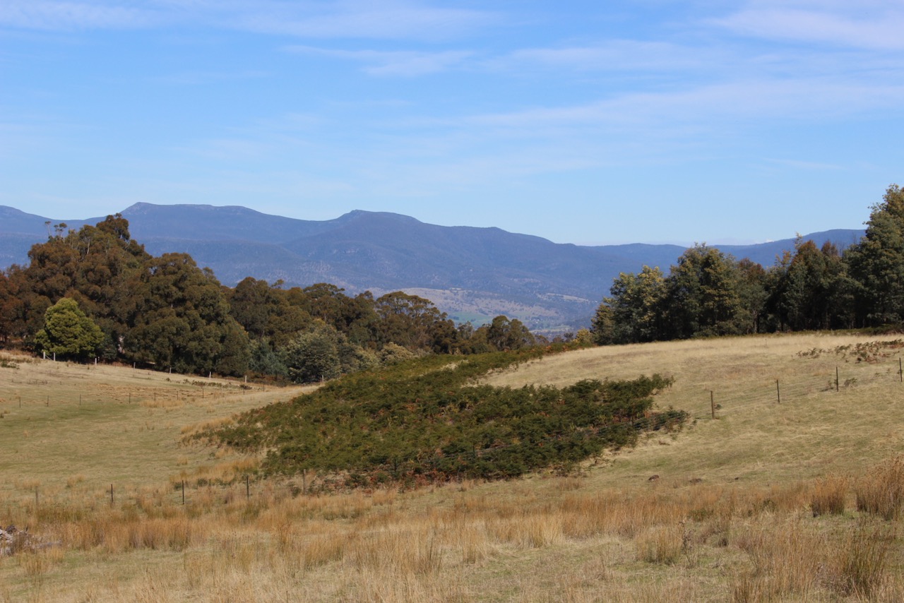 Private Sale Real Estate BLACK HILLS, TAS 7140