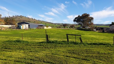 For Sale By Owner WILMINGTON, SA 5485