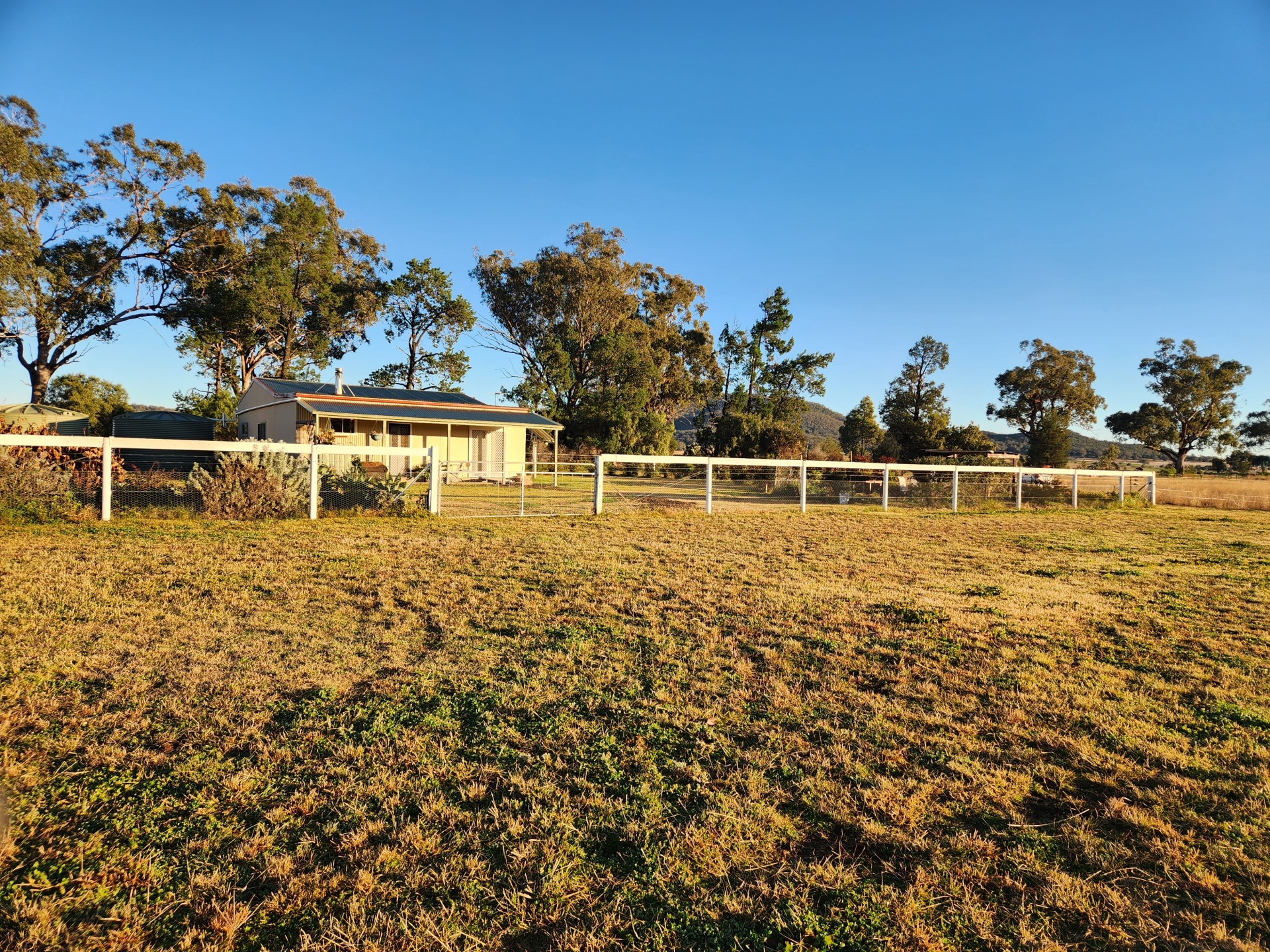 Horse Property For Sale in Curlewis, NSW 2381