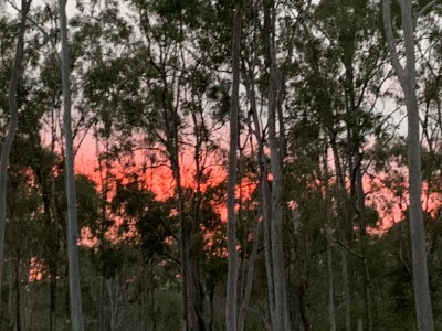 For Sale By Owner GIN GIN, QLD 4671