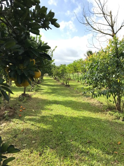 For Sale By Owner MORESBY, QLD 4871