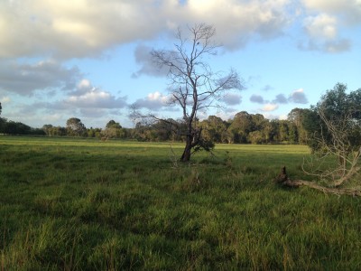 For Sale By Owner COOTHARABA, QLD 4565