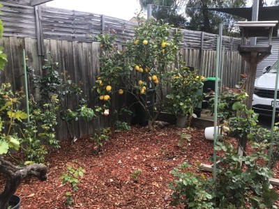 For Sale By Owner PRESTON SOUTH, VIC 3072