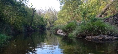 For Sale By Owner BULLDOG, NSW 2469