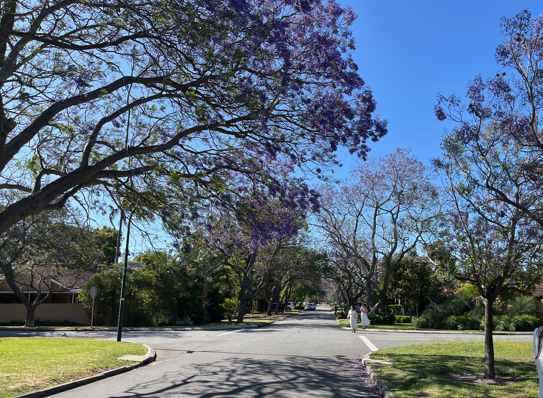 For Rent By Owner:: Applecross, WA 6153