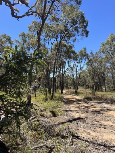 For Sale By Owner COONABARABRAN, NSW 2357