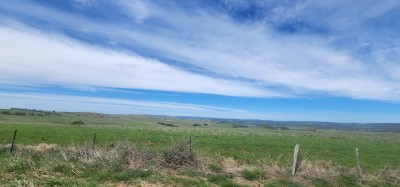 For Sale By Owner MUMMEL, NSW 2580