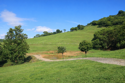 For Sale By Owner CHATSWORTH, QLD 4570