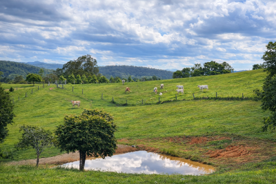 For Sale By Owner CHATSWORTH, QLD 4570