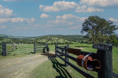 For Sale By Owner EAST GRESFORD, NSW 2311