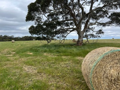 For Sale By Owner SEDDON, SA 5223