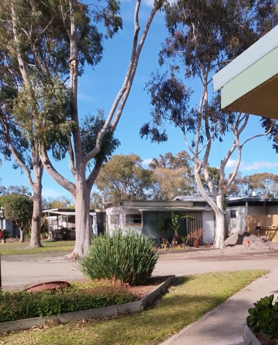 For Sale By Owner SOMERVILLE, VIC 3912