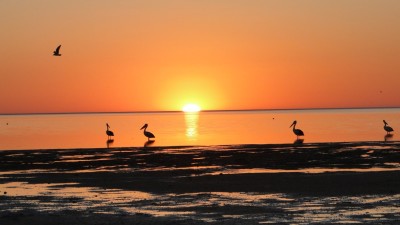 For Sale By Owner CHINAMAN WELLS, SA 5573