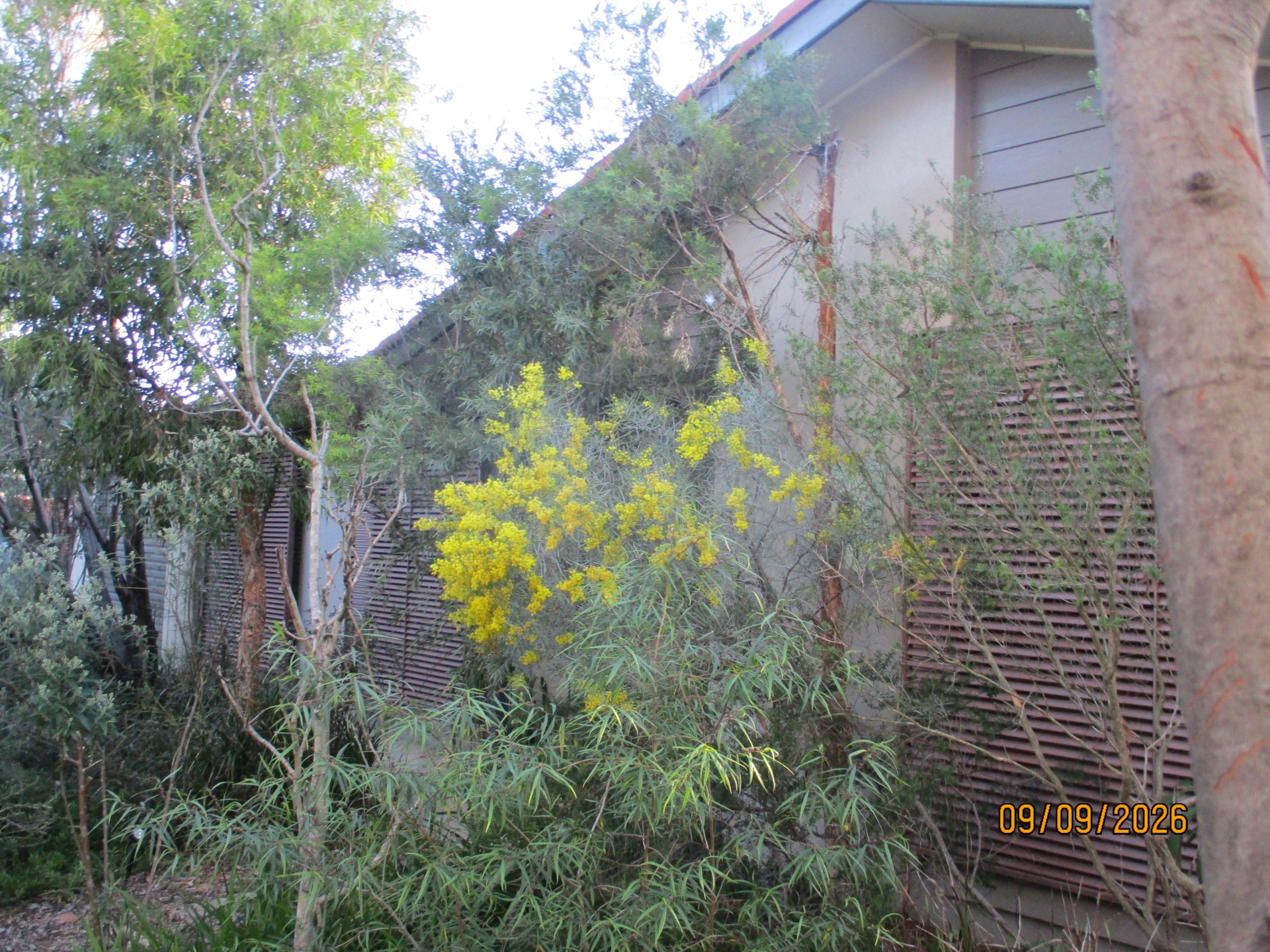 Houses For Sale By Owner In Australian Capital Territory CALWELL, ACT 2905
