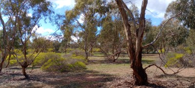 For Sale By Owner WEDDERBURN, VIC 3518