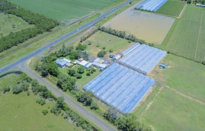 For Sale By Owner ALLOWAY, QLD 4670