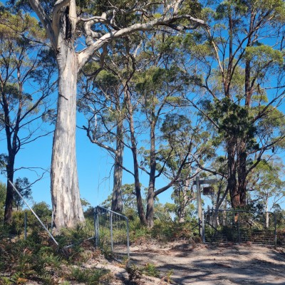 For Sale By Owner MURDUNNA, TAS 7178