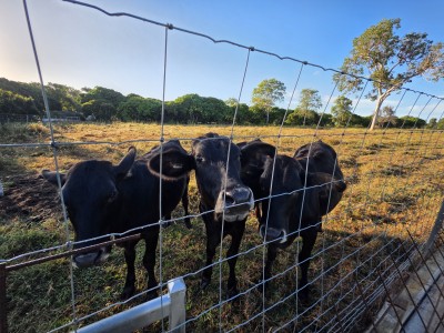 For Sale By Owner SARINA, QLD 4737